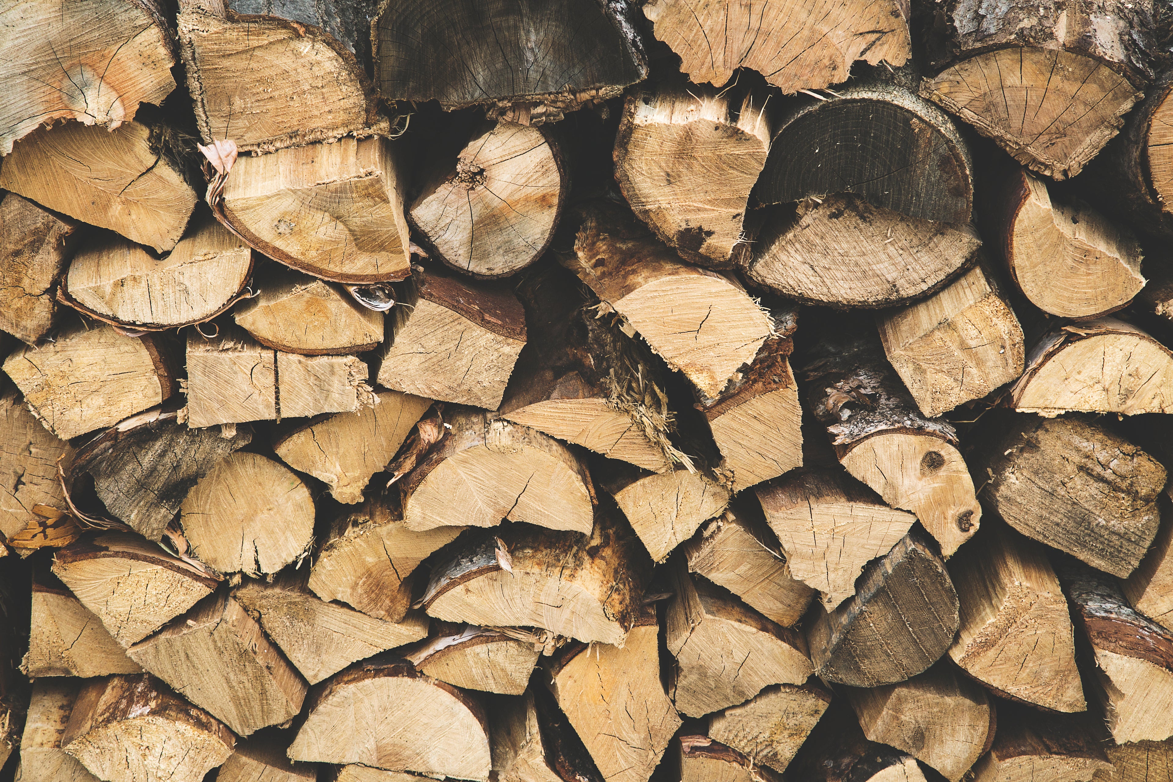 Firewood harrogate